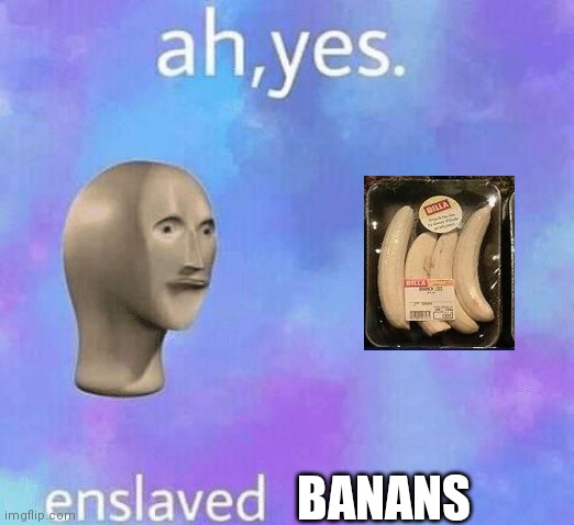 Ah Yes enslaved | BANANS | image tagged in ah yes enslaved,banana,memes,funny,oh wow are you actually reading these tags | made w/ Imgflip meme maker