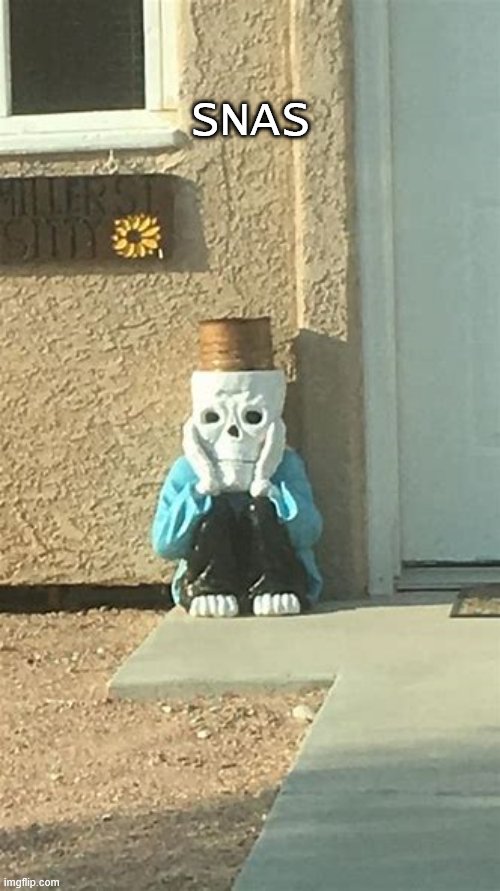 cursed sans image 4 | SNAS | image tagged in cursed sans image 4 | made w/ Imgflip meme maker