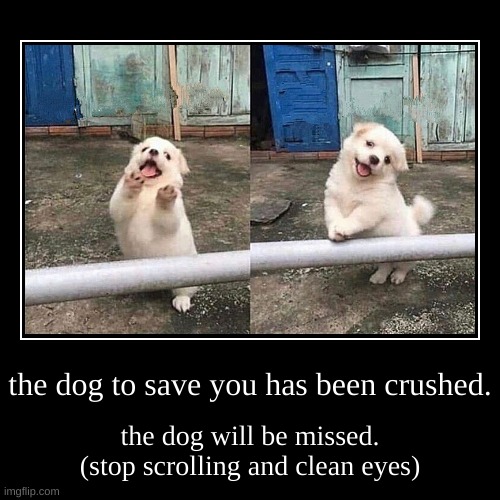 ded happy pup | image tagged in funny,demotivationals | made w/ Imgflip demotivational maker