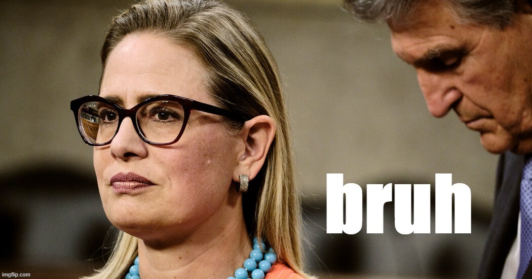 Manchin Sinema bruh | image tagged in manchin sinema bruh | made w/ Imgflip meme maker