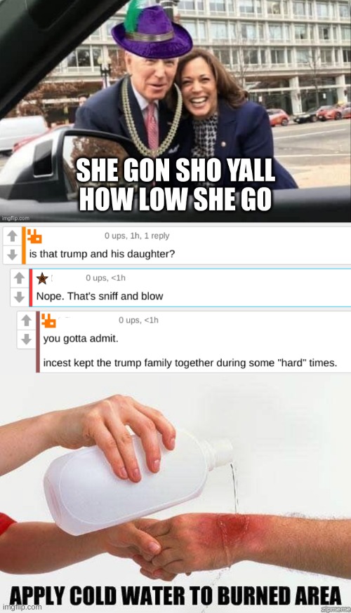 ashley trump's diary | image tagged in apply cold water to burned area,incest,donald trump,ivanka trump,conservative hypocrisy,hard times | made w/ Imgflip meme maker