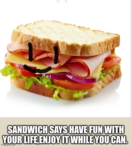 At least I didn't do one of a burger | SANDWICH SAYS HAVE FUN WITH YOUR LIFE,ENJOY IT WHILE YOU CAN. | image tagged in sandwich,smiling | made w/ Imgflip meme maker