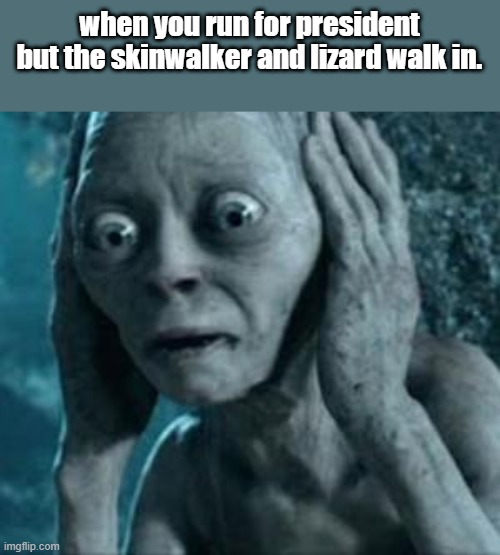 scared | when you run for president but the skinwalker and lizard walk in. | image tagged in scared gollum,scared | made w/ Imgflip meme maker