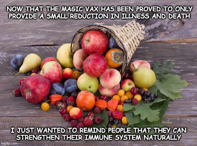 Happy and Healthy Holidays Everyone | NOW THAT THE MAGIC VAX HAS BEEN PROVED TO ONLY
PROVIDE A SMALL REDUCTION IN ILLNESS AND DEATH; I JUST WANTED TO REMIND PEOPLE THAT THEY CAN
STRENGTHEN THEIR IMMUNE SYSTEM NATURALLY | image tagged in natural immunity is real | made w/ Imgflip meme maker