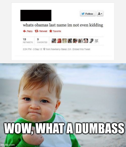 wow. just wow | WOW, WHAT A DUMBASS | image tagged in memes,success kid original | made w/ Imgflip meme maker