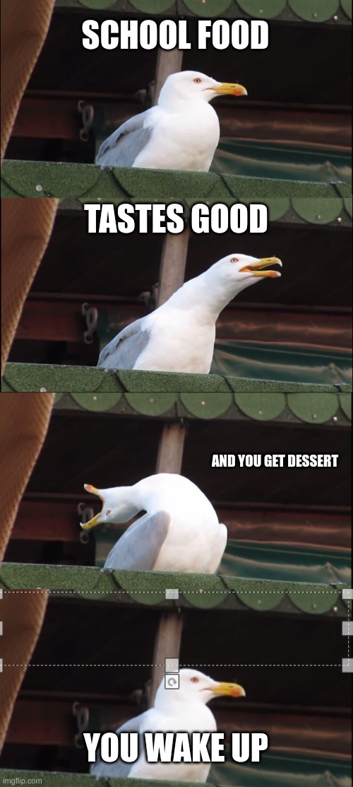 a bad meme | SCHOOL FOOD; TASTES GOOD; AND YOU GET DESSERT; YOU WAKE UP | image tagged in memes,inhaling seagull | made w/ Imgflip meme maker