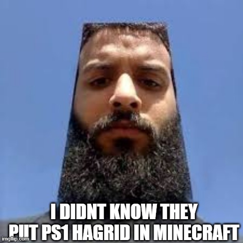 is that ps1 Hagrid |  I DIDNT KNOW THEY PUT PS1 HAGRID IN MINECRAFT | image tagged in ps1,hagrid | made w/ Imgflip meme maker