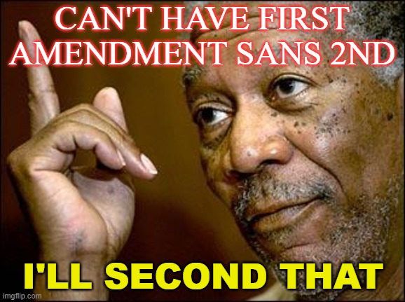 Can't have First Amendment sans 2nd; I'll second that |  CAN'T HAVE FIRST AMENDMENT SANS 2ND; I'LL SECOND THAT | image tagged in this morgan freeman | made w/ Imgflip meme maker