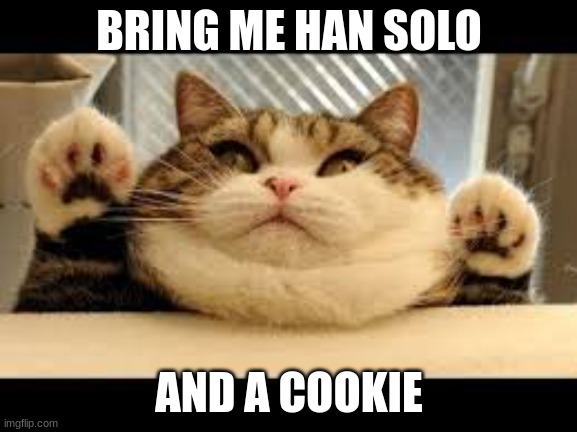and a wookie | BRING ME HAN SOLO; AND A COOKIE | image tagged in fat cat | made w/ Imgflip meme maker