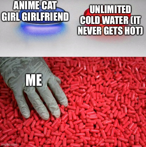 Blue or red pill | ANIME CAT GIRL GIRLFRIEND; UNLIMITED COLD WATER (IT NEVER GETS HOT); ME | image tagged in blue or red pill | made w/ Imgflip meme maker