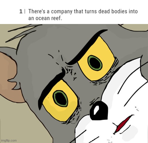 dead bodies=coral reef | image tagged in memes,unsettled tom | made w/ Imgflip meme maker