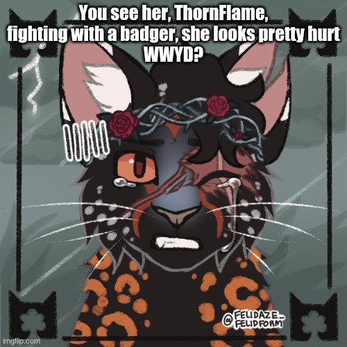 Can be cross-clan romance, you can help her fight but don't kill her | You see her, ThornFlame, fighting with a badger, she looks pretty hurt
WWYD? | image tagged in warrior cat | made w/ Imgflip meme maker