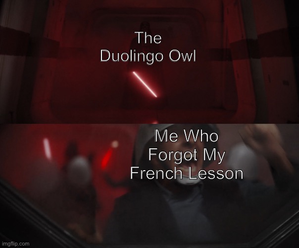 Help | The Duolingo Owl; Me Who Forgot My French Lesson | image tagged in darth vader vs rebel | made w/ Imgflip meme maker