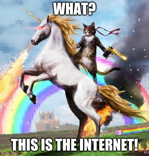 Welcome To The Internets | WHAT? THIS IS THE INTERNET! | image tagged in memes,welcome to the internets | made w/ Imgflip meme maker