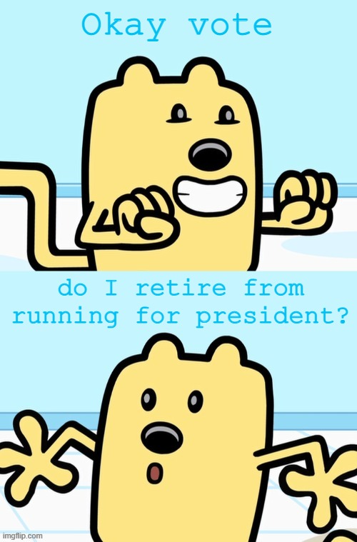 You guys get 6 hours | Okay vote; do I retire from running for president? | image tagged in wubbzy realization | made w/ Imgflip meme maker