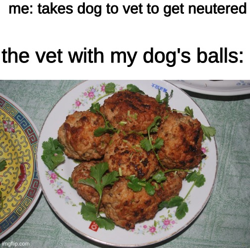 mmm yummy meatballs... what kind of meat are these ones made of? | me: takes dog to vet to get neutered; the vet with my dog's balls: | image tagged in blank white template,is this nsfw,doge,balls,dogs,pets | made w/ Imgflip meme maker