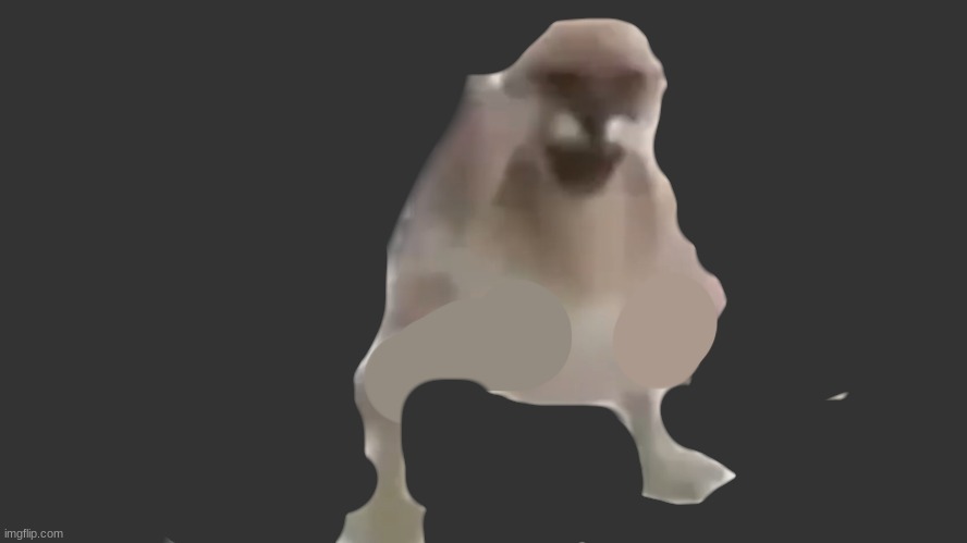 Floppamogus | image tagged in floppamogus | made w/ Imgflip meme maker