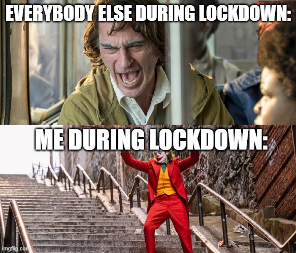 is this for you | EVERYBODY ELSE DURING LOCKDOWN:; ME DURING LOCKDOWN: | image tagged in sad and happy joker 2019 | made w/ Imgflip meme maker