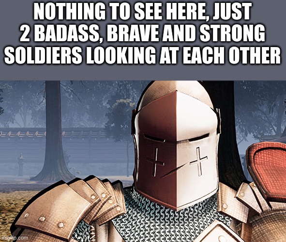 nothing to see here | NOTHING TO SEE HERE, JUST 2 BADASS, BRAVE AND STRONG SOLDIERS LOOKING AT EACH OTHER | image tagged in angry crusader,crusader,wholesome | made w/ Imgflip meme maker