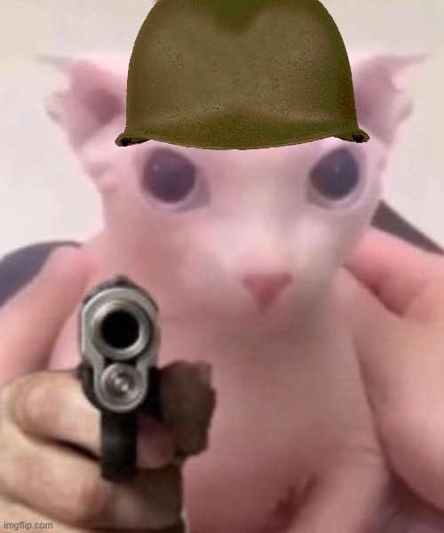 Bingus | image tagged in bingus | made w/ Imgflip meme maker