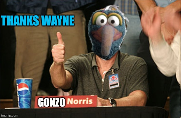 Gonzo Norris thumbs up | THANKS WAYNE | image tagged in gonzo norris thumbs up | made w/ Imgflip meme maker