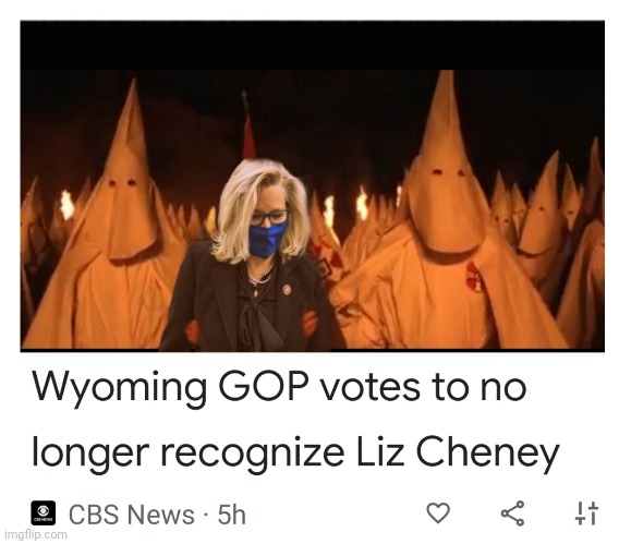 Wyoming GOP | image tagged in liz cheney,facists,no integrity,trump drones | made w/ Imgflip meme maker