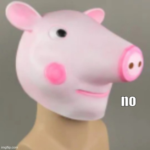 nooooooooooooooooooooooooooooooooooooooooooooooooooooooooooooooo | no | image tagged in nooooooooooooooooooooooooooooooooooooooooooooooooooooooooooooooo | made w/ Imgflip meme maker