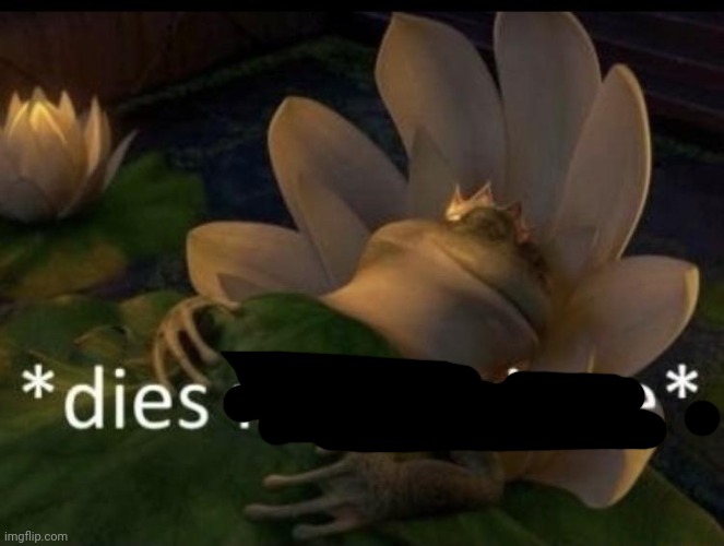 Dies from cringe | image tagged in dies from cringe | made w/ Imgflip meme maker