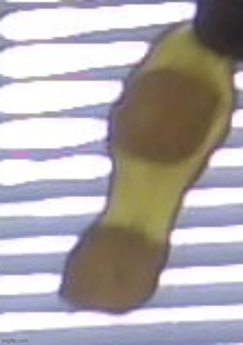 TF HAPPENED HERE | made w/ Imgflip meme maker