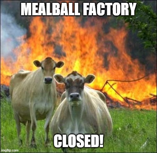 Evil Cows Meme | MEALBALL FACTORY CLOSED! | image tagged in memes,evil cows | made w/ Imgflip meme maker