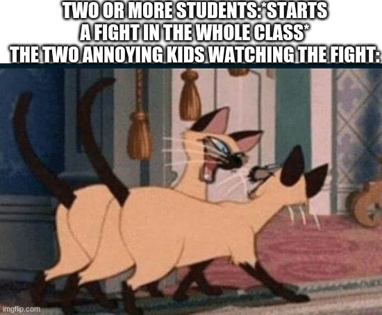 siameses cats | TWO OR MORE STUDENTS:*STARTS A FIGHT IN THE WHOLE CLASS*
THE TWO ANNOYING KIDS WATCHING THE FIGHT: | image tagged in siameses cats,cat,cats,the lady and the tramp,meme,memes | made w/ Imgflip meme maker