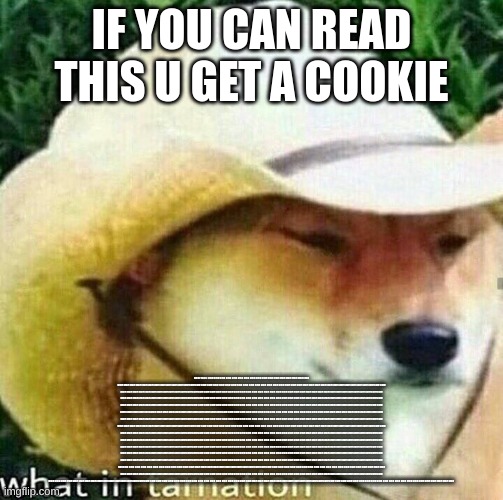 if u can read dis u get a cookie! | IF YOU CAN READ THIS U GET A COOKIE; DOGE FANS: 0MG OMG OMG OMG OMG OMG 0MG OMG OMG OMG OMG OMG 0MG OMG OMG OMG OMG OMG 0MG OMG OMG OMG OMG OMG 0MG OMG OMG OMG OMG OMG 0MG OMG OMG OMG OMG OMG 0MG OMG OMG OMG OMG OMG 0MG OMG OMG OMG OMG OMG 0MG OMG OMG OMG OMG OMG 0MG OMG OMG OMG OMG OMG 0MG OMG OMG OMG OMG OMG 0MG OMG OMG OMG OMG OMG 0MG OMG OMG OMG OMG OMG 0MG OMG OMG OMG OMG OMG 0MG OMG OMG OMG OMG OMG 0MG OMG OMG OMG OMG OMG 0MG OMG OMG OMG OMG OMG 0MG OMG OMG OMG OMG OMG 0MG OMG OMG OMG OMG OMG 0MG OMG OMG OMG OMG OMG 0MG OMG OMG OMG OMG OMG 0MG OMG OMG OMG OMG OMG 0MG OMG OMG OMG OMG OMG 0MG OMG OMG OMG OMG OMG 0MG OMG OMG OMG OMG OMG 0MG OMG OMG OMG OMG OMG 0MG OMG OMG OMG OMG OMG 0MG OMG OMG OMG OMG OMG 0MG OMG OMG OMG OMG OMG 0MG OMG OMG OMG OMG OMG 0MG OMG OMG OMG OMG OMG 0MG OMG OMG OMG OMG OMG 0MG OMG OMG OMG OMG OMG VVVV0MG OMG OMG OMG OMG OMG 0MG OMG OMG OMG OMG OMG 0MG OMG OMG OMG OMG OMG 0MG OMG OMG OMG OMG OMG 0MG OMG OMG OMG OMG OMG 0MG OMG OMG OMG OMG OMG 0MG OMG OMG OMG OMG OMG 0MG OMG OMG OMG OMG OMG 0MG OMG OMG OMG OMG OMG 0MG OMG OMG OMG OMG OMG 0MG OMG OMG OMG OMG OMG 0MG OMG OMG OMG OMG OMG 0MG OMG OMG OMG OMG OMG 0MG OMG OMG OMG OMG OMG 0MG OMG OMG OMG OMG OMG 0MG OMG OMG OMG OMG OMG 0MG OMG OMG OMG OMG OMG 0MG OMG OMG OMG OMG OMG 0MG OMG OMG OMG OMG OMG 0MG OMG OMG OMG OMG OMG 0MG OMG OMG OMG OMG OMG 0MG OMG OMG OMG OMG OMG 0MG OMG OMG OMG OMG OMG 0MG OMG OMG OMG OMG OMG 0MG OMG OMG OMG OMG OMG 0MG OMG OMG OMG OMG OMG 0MG OMG OMG OMG OMG OMG 0MG OMG OMG OMG OMG OMG 0MG OMG OMG OMG OMG OMG 0MG OMG OMG OMG OMG OMG 0MG OMG OMG OMG OMG OMG 0MG OMG OMG OMG OMG OMG 0MG OMG OMG OMG OMG OMG 0MG OMG OMG OMG OMG OMG 0MG OMG OMG OMG OMG OMG 0MG OMG OMG OMG OMG OMG 0MG OMG OMG OMG OMG OMG 0MG OMG OMG OMG OMG OMG 0MG OMG OMG OMG OMG OMG 0MG OMG OMG OMG OMG OMG 0MG OMG OMG OMG OMG OMG 0MG OMG OMG OMG OMG OMG 0MG OMG OMG OMG OMG OMG 0MG OMG OMG OMG OMG OMG 0MG OMG OMG OMG OMG OMG 0MG OMG OMG OMG OMG OMG 0MG OMG OMG OMG OMG OMG 0MG OMG OMG OMG OMG OMG 0MG OMG OMG OMG OMG OMG 0MG OMG OMG OMG OMG OMG 0MG OMG OMG OMG OMG OMG 0MG OMG OMG OMG OMG OMG 0MG OMG OMG OMG OMG OMG 0MG OMG OMG OMG OMG OMG 0MG OMG OMG OMG OMG OMG 0MG OMG OMG OMG OMG OMG 0MG OMG OMG OMG OMG OMG 0MG OMG OMG OMG OMG OMG VVV0MG OMG OMG OMG OMG OMG 0MG OMG OMG OMG OMG OMG 0MG OMG OMG OMG OMG OMG 0MG OMG OMG OMG OMG OMG 0MG OMG OMG OMG OMG OMG 0MG OMG OMG OMG OMG OMG 0MG OMG OMG OMG OMG OMG 0MG OMG OMG OMG OMG OMG 0MG OMG OMG OMG OMG OMG 0MG OMG OMG OMG OMG OMG 0MG OMG OMG OMG OMG OMG 0MG OMG OMG OMG OMG OMG 0MG OMG OMG OMG OMG OMG 0MG OMG OMG OMG OMG OMG 0MG OMG OMG OMG OMG OMG 0MG OMG OMG OMG OMG OMG 0MG OMG OMG OMG OMG OMG 0MG OMG OMG OMG OMG OMG 0MG OMG OMG OMG OMG OMG 0MG OMG OMG OMG OMG OMG 0MG OMG OMG OMG OMG OMG 0MG OMG OMG OMG OMG OMG 0MG OMG OMG OMG OMG OMG 0MG OMG OMG OMG OMG OMG 0MG OMG OMG OMG OMG OMG 0MG OMG OMG OMG OMG OMG | image tagged in what in tarnation dog | made w/ Imgflip meme maker