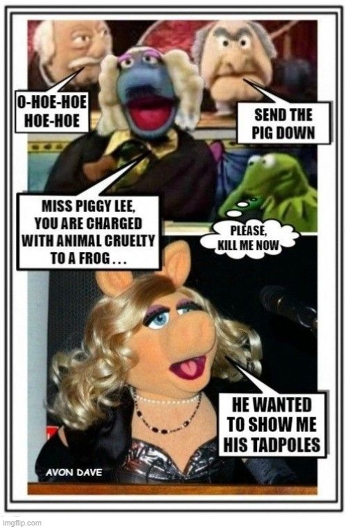 PIGS IN COURT | image tagged in muppets,kermit,miss piggy,waldorf and statler,court,crime | made w/ Imgflip meme maker