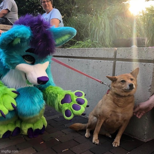 Dog afraid of furry | image tagged in dog afraid of furry | made w/ Imgflip meme maker