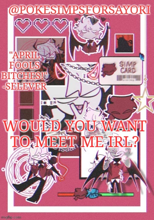 Selever temp | WOULD YOU WANT TO MEET ME IRL? | image tagged in selever temp | made w/ Imgflip meme maker