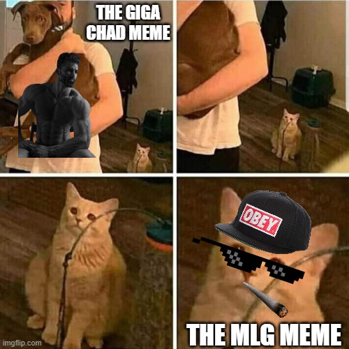 Sad Cat Holding Dog | THE GIGA CHAD MEME; THE MLG MEME | image tagged in sad cat holding dog | made w/ Imgflip meme maker