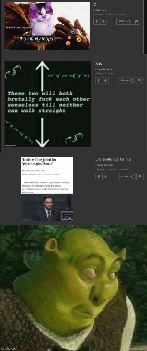 Wait that's.......illegal? | image tagged in shrek face | made w/ Imgflip meme maker