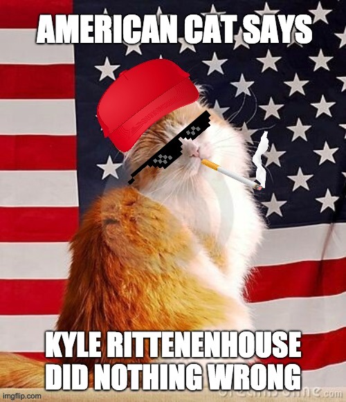 American Cat says,"Kyle Rittenhouse did nothing wrong." | image tagged in cats,american flag,justice,usa,political humor,humor | made w/ Imgflip meme maker