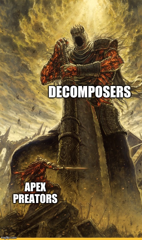 ha | DECOMPOSERS; APEX PREATORS | image tagged in fantasy painting,science | made w/ Imgflip meme maker