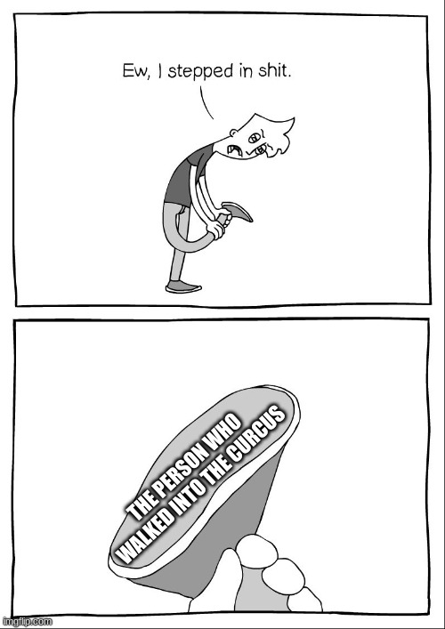 Ew, i stepped in shit | THE PERSON WHO WALKED INTO THE CURCUS | image tagged in ew i stepped in shit | made w/ Imgflip meme maker