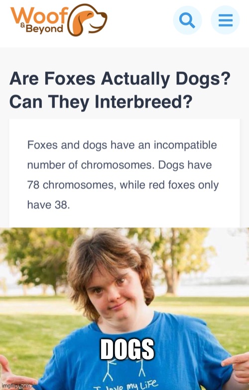 Down syndrome intensifies | DOGS | image tagged in funny | made w/ Imgflip meme maker