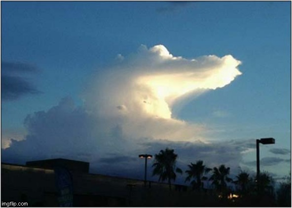 Cloud Crocodile ! | image tagged in clouds,crocodile | made w/ Imgflip meme maker