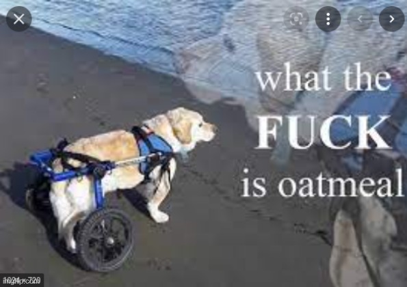 image tagged in what the fuck is oatmeal | made w/ Imgflip meme maker