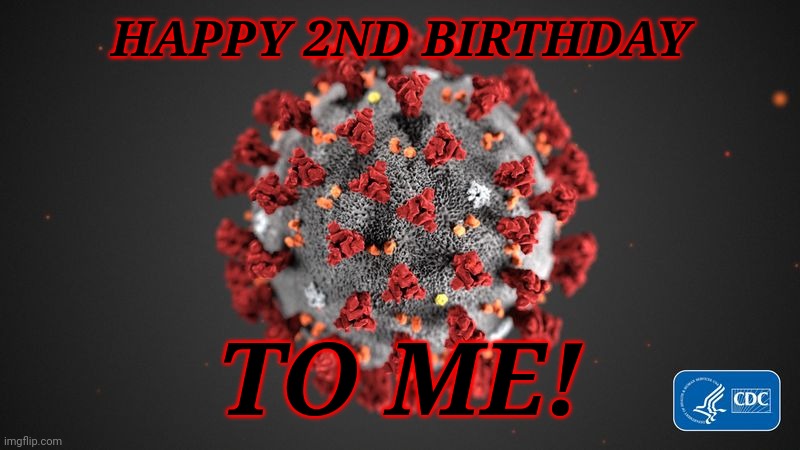 PARTY TIMEEE | HAPPY 2ND BIRTHDAY; TO ME! | image tagged in covid 19,corona virus,coronavirus,covid-19,happy birthday,memes | made w/ Imgflip meme maker
