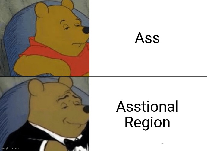 Dont ask | Ass; Asstional Region | image tagged in memes,tuxedo winnie the pooh | made w/ Imgflip meme maker
