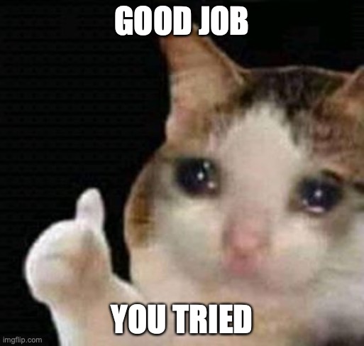 sad thumbs up cat | GOOD JOB; YOU TRIED | image tagged in sad thumbs up cat | made w/ Imgflip meme maker