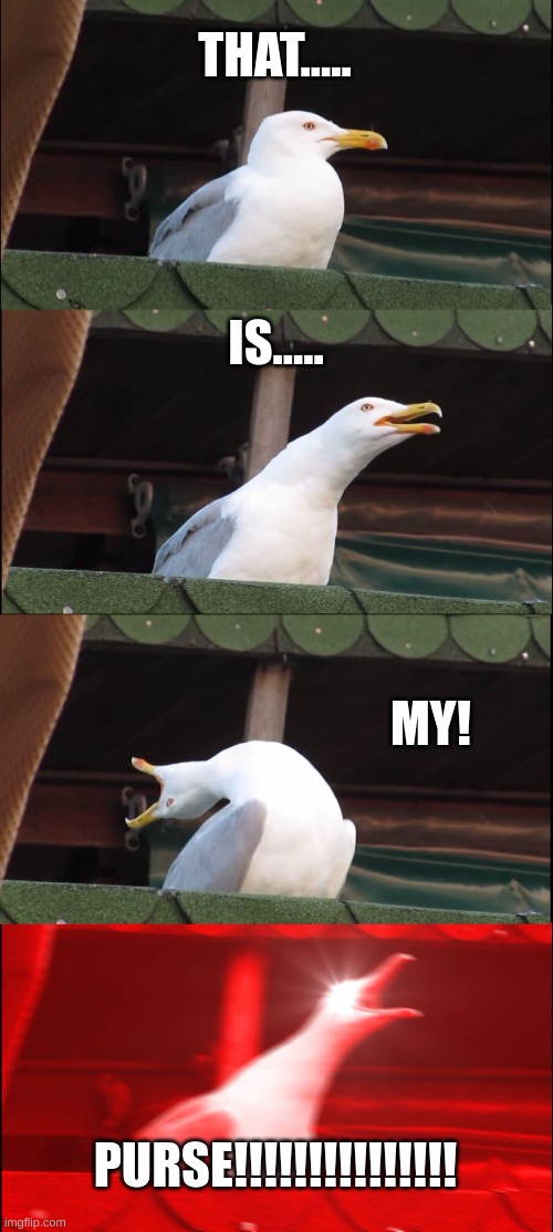 Inhaling Seagull Meme | THAT..... IS..... MY! PURSE!!!!!!!!!!!!!!! | image tagged in memes,inhaling seagull | made w/ Imgflip meme maker
