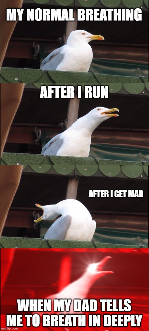 Inhaling Seagull | MY NORMAL BREATHING; AFTER I RUN; AFTER I GET MAD; WHEN MY DAD TELLS ME TO BREATH IN DEEPLY | image tagged in memes,inhaling seagull | made w/ Imgflip meme maker