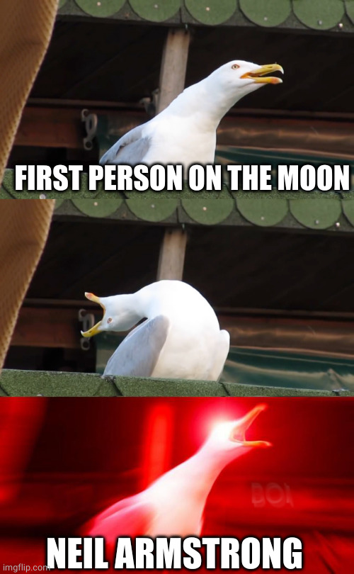 screaming gull | FIRST PERSON ON THE MOON NEIL ARMSTRONG | image tagged in screaming gull | made w/ Imgflip meme maker