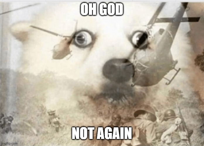 PTSD dog | OH GOD NOT AGAIN | image tagged in ptsd dog | made w/ Imgflip meme maker